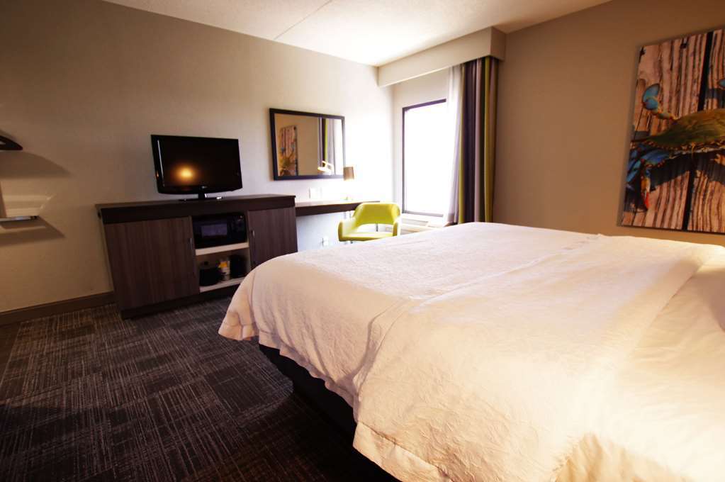 Hampton Inn Hagerstown-Maugansville Номер фото